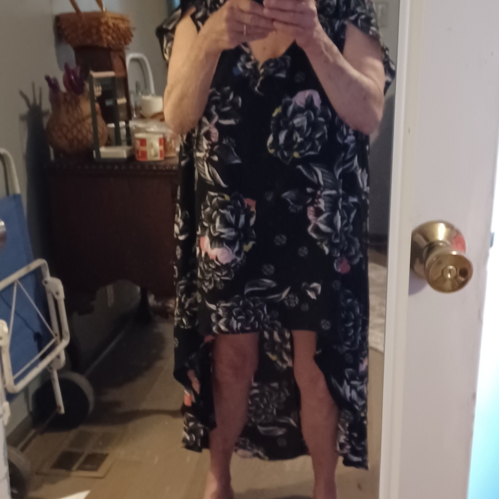 city chic mabel floral high low dress cut out bodice illusion overlay xl 22